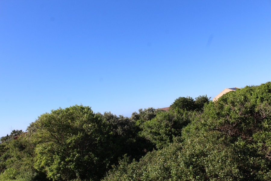0 Bedroom Property for Sale in Forest Downs Eastern Cape